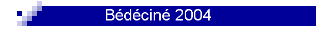Bdcin 2004